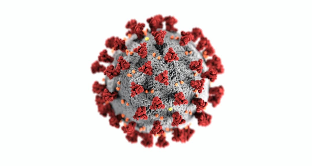 COVID Vaccine Safety, Distribution and Frequently Asked Questions